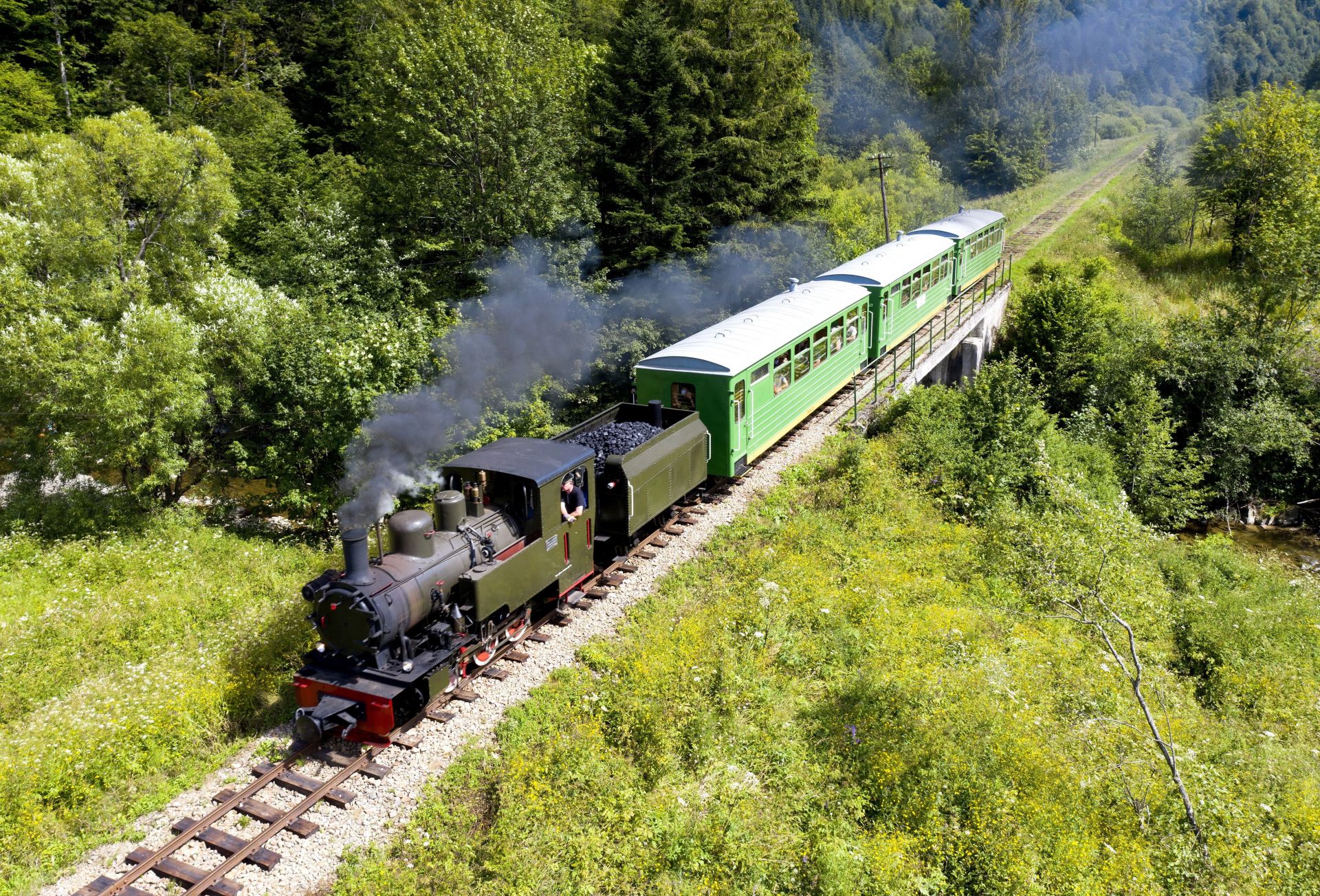 穿梭于森林的波兰老式蒸汽火车