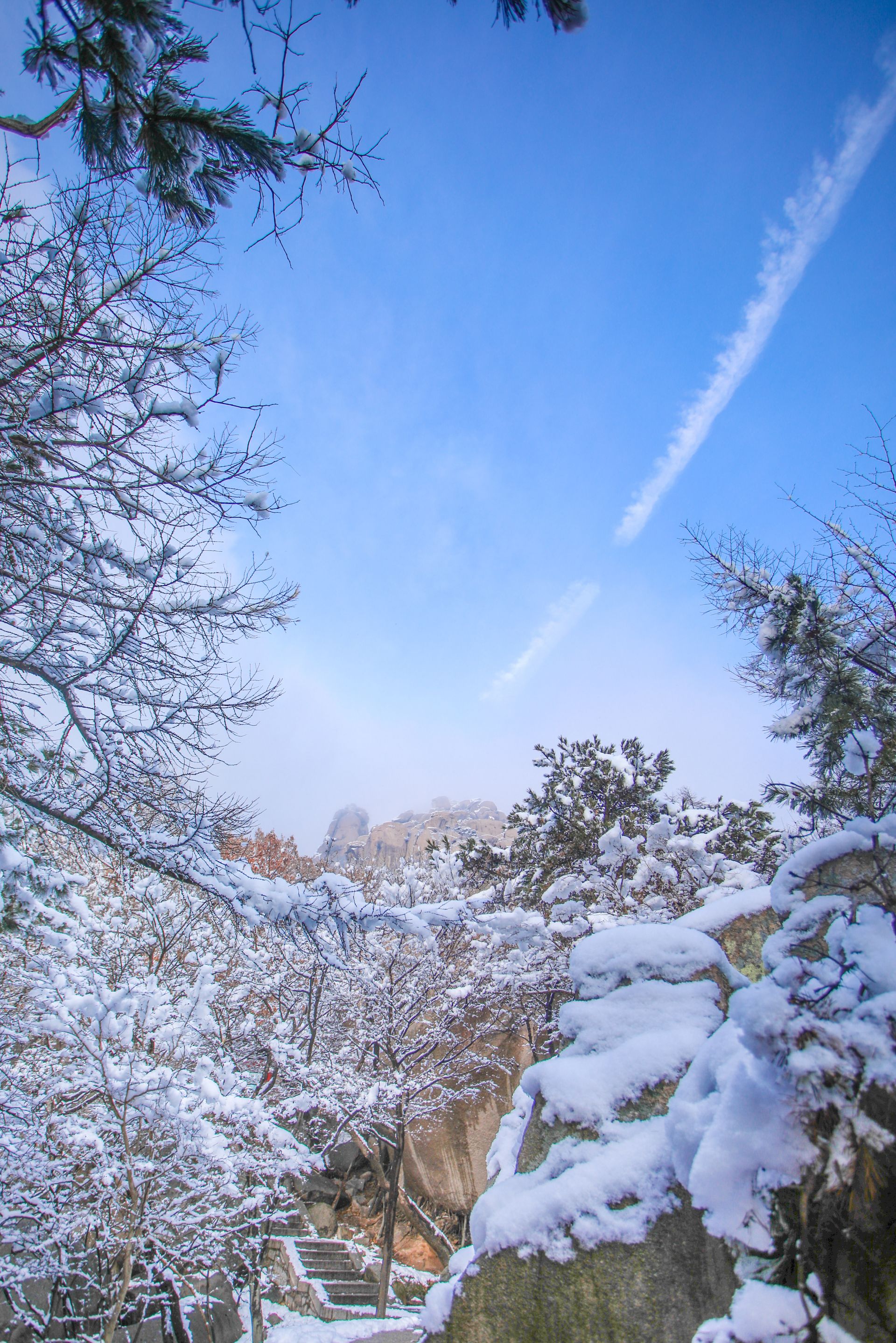 崂山巨峰雪景图片图片