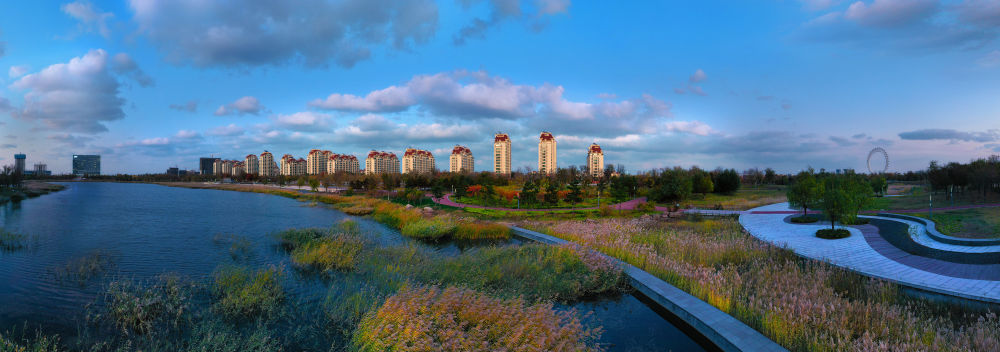 潍坊滨海践行两山理念盐碱滩崛起生态绿洲