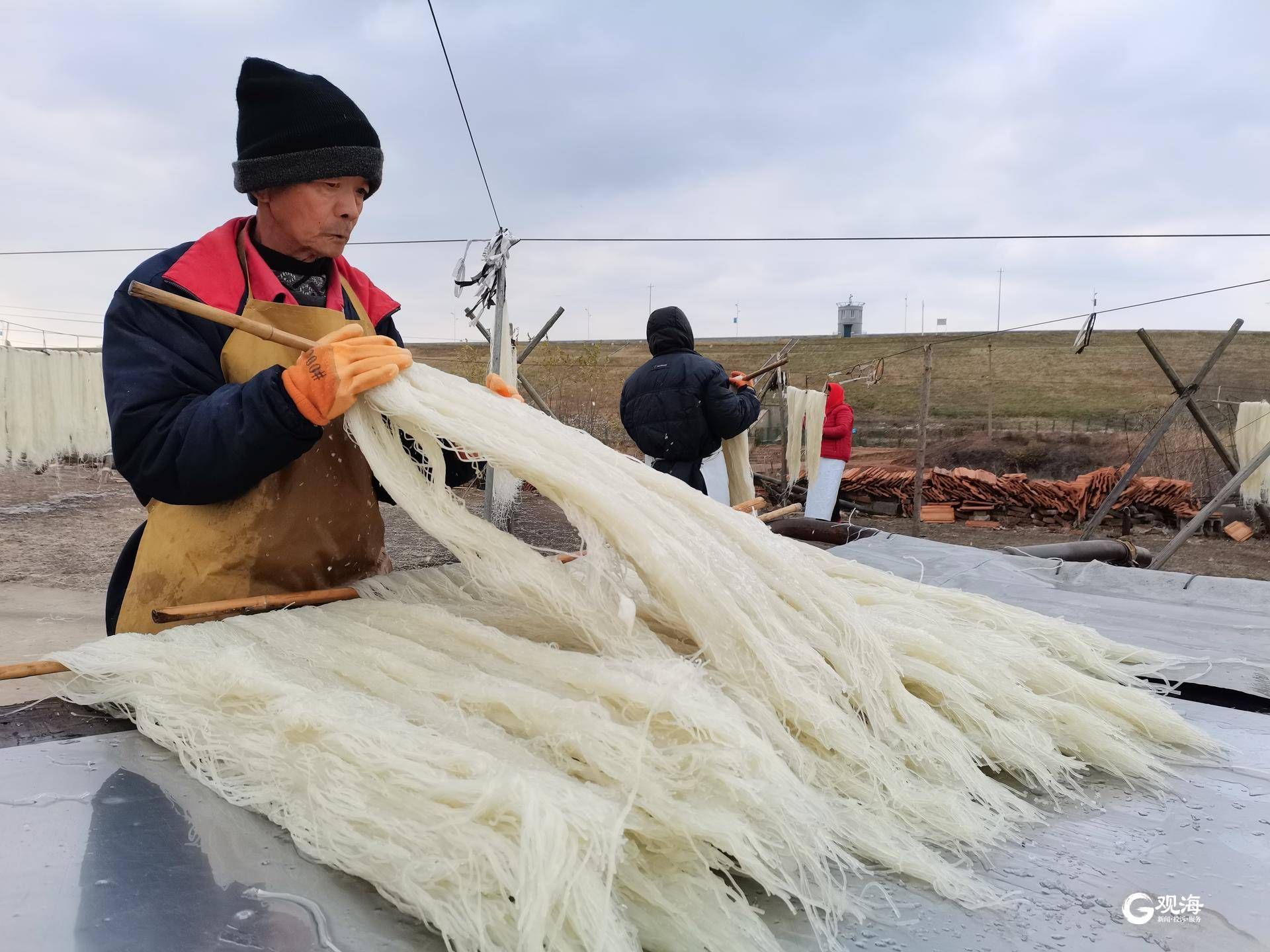 家庭粉条的制作过程图片