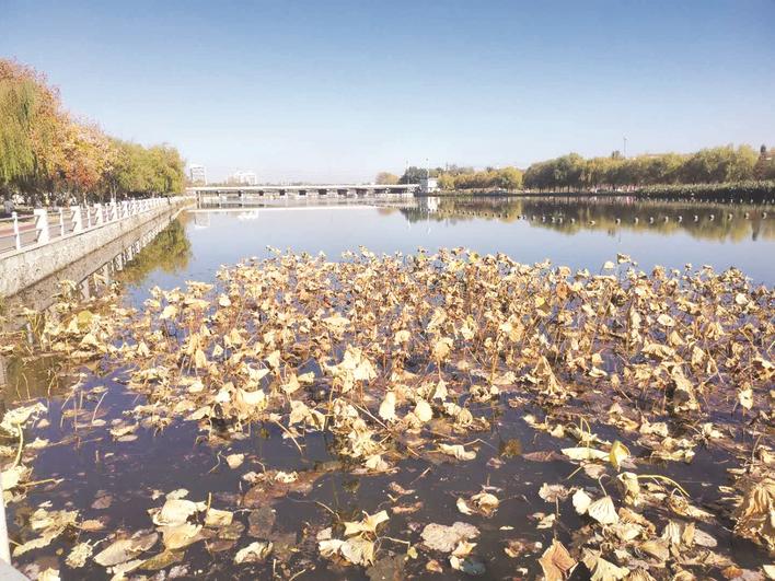 萊陽市蜆河人工溼地公園.