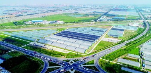 推动蔬菜产业由数量向质量转变中国寿光蔬菜小镇探索乡村振兴新模式