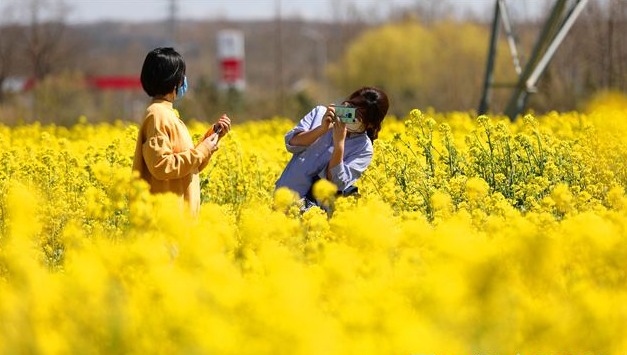威海绘就一幅产业兴旺生态宜居乡风文明生活富裕的乡村丰收画卷