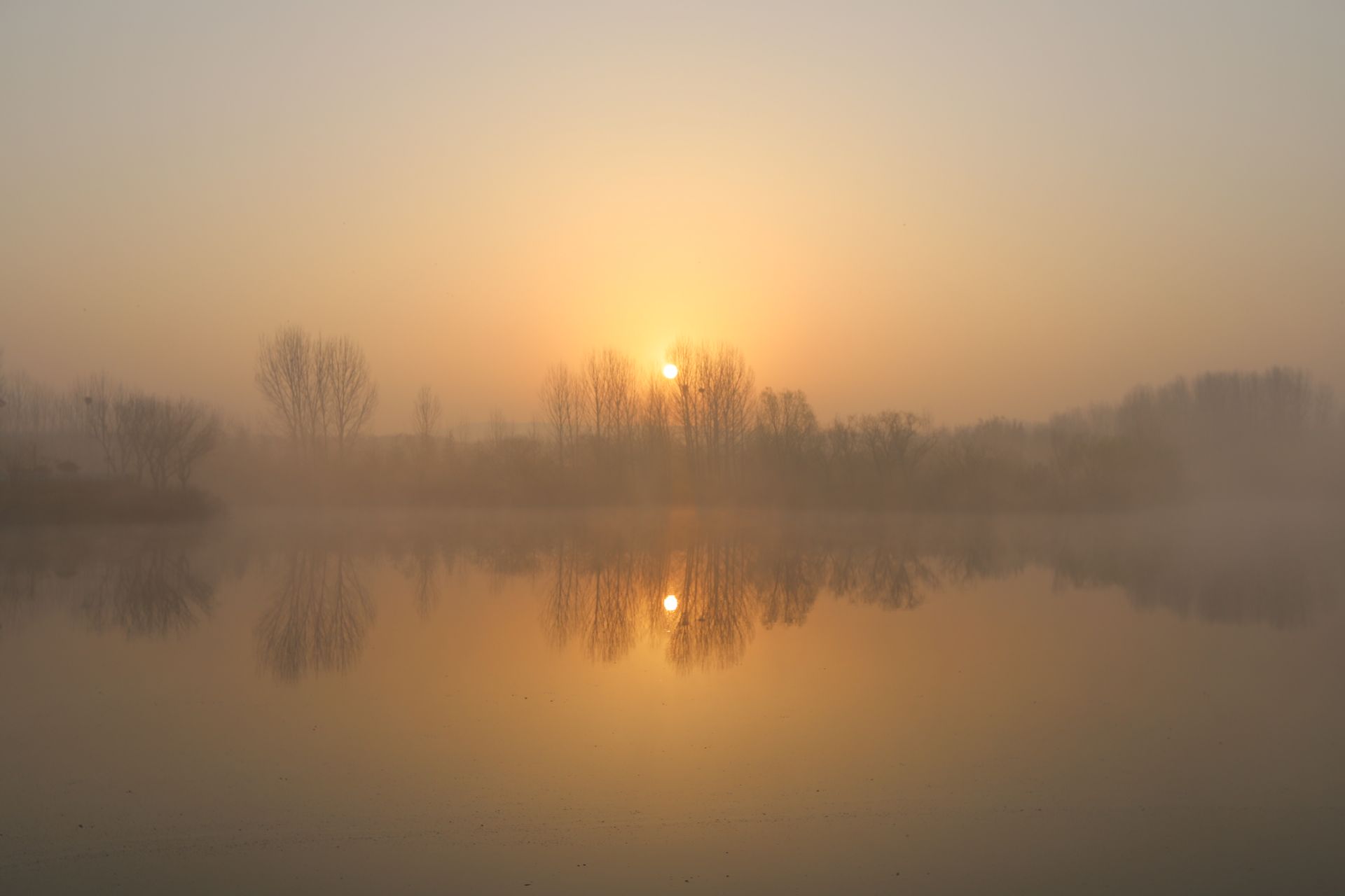 西海岸新区六汪镇美图晨雾朝阳