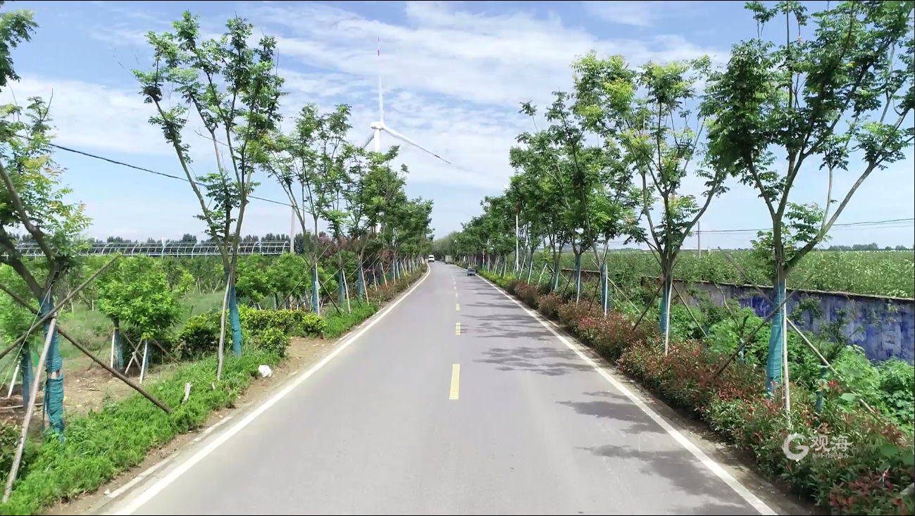 超额完成任务青岛四好农村路建设各项指标在省考中获佳绩