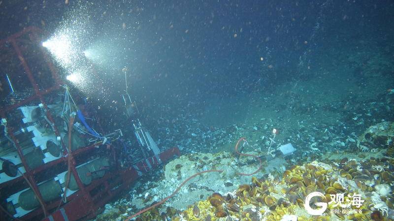 1100米水下搭建起實驗平臺科學號實現在海底做實驗