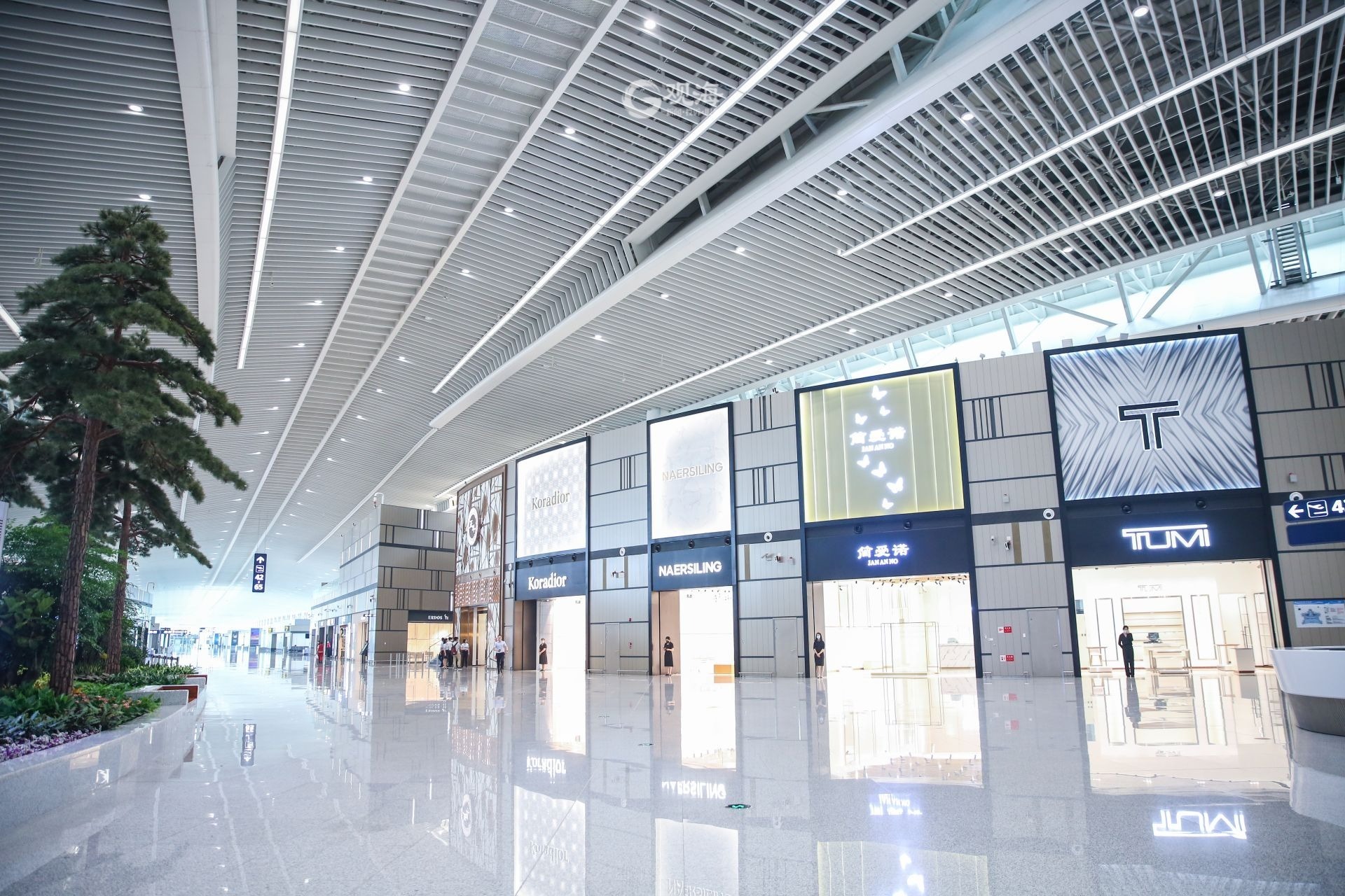 敞亮！体验青岛胶东国际机场首次登机之旅-青报网-青岛日报官网