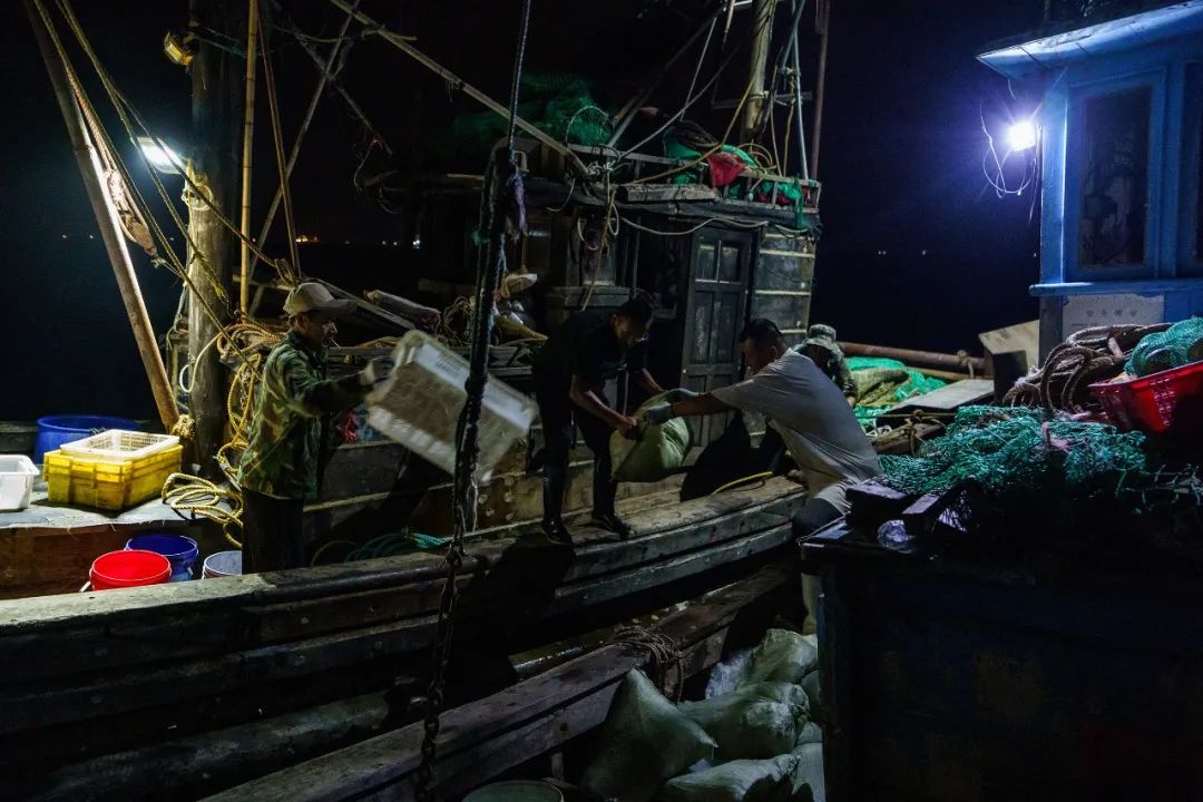 青岛渔帮:解开渔网绑绳的一刻犹如开盲盒