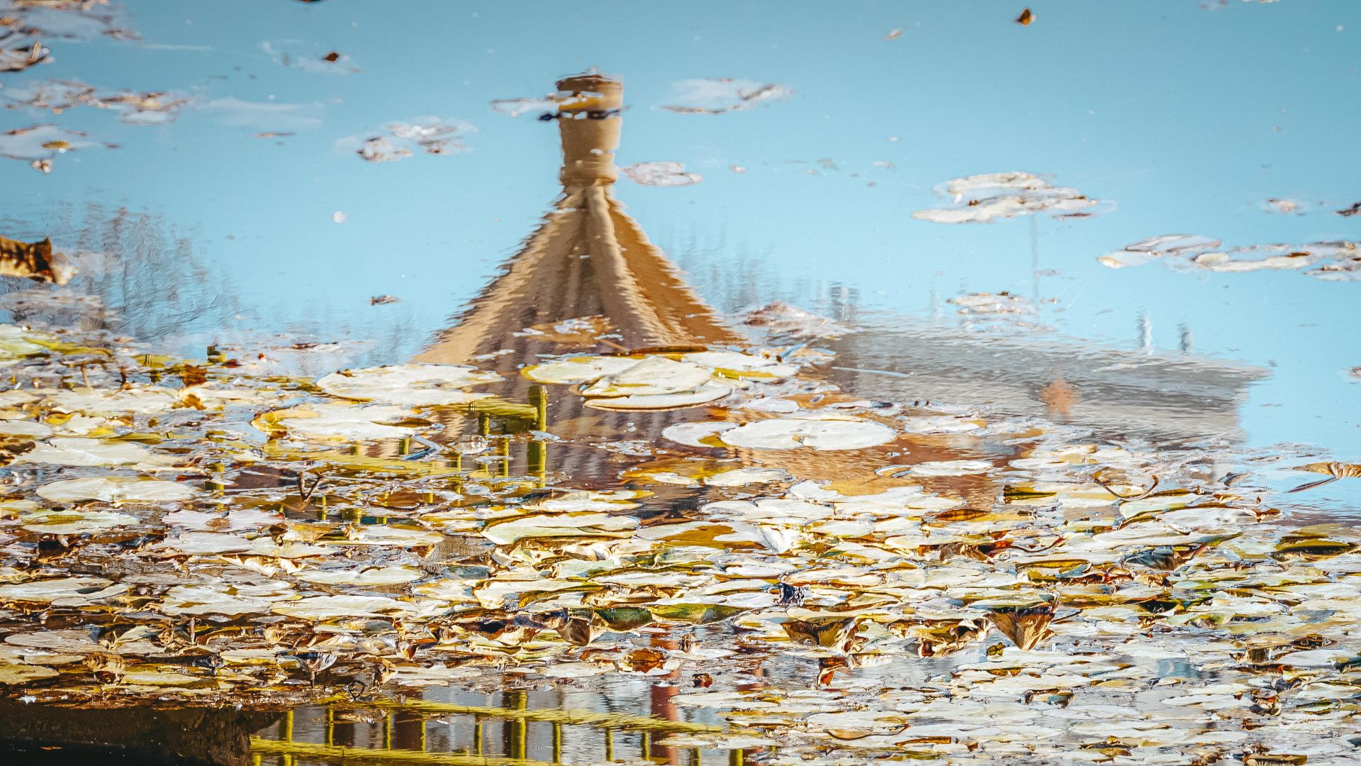 高级感拉满来看青岛莫兰迪色的冬天