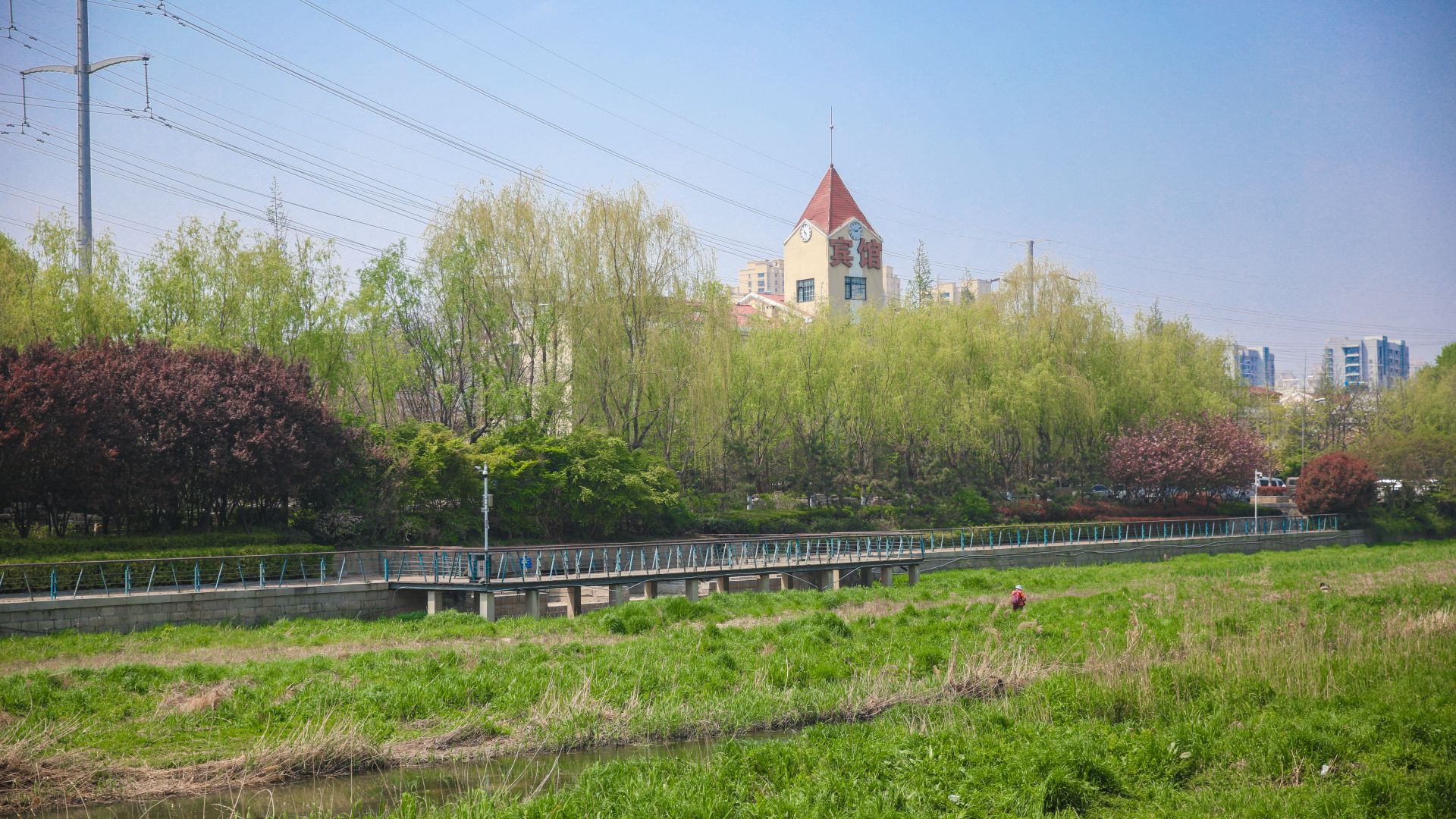 广州张村公园图片图片