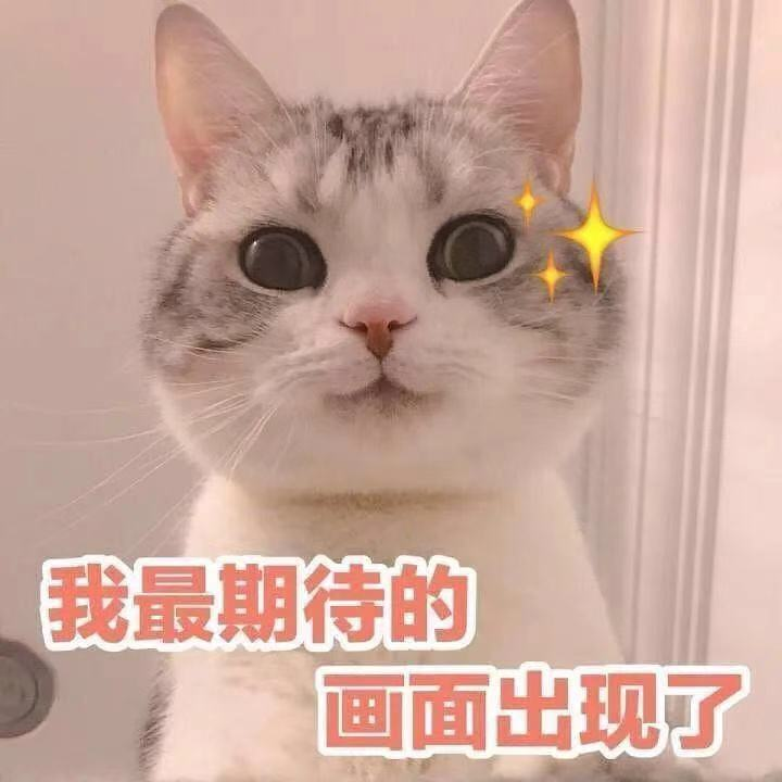 战吗?战啊