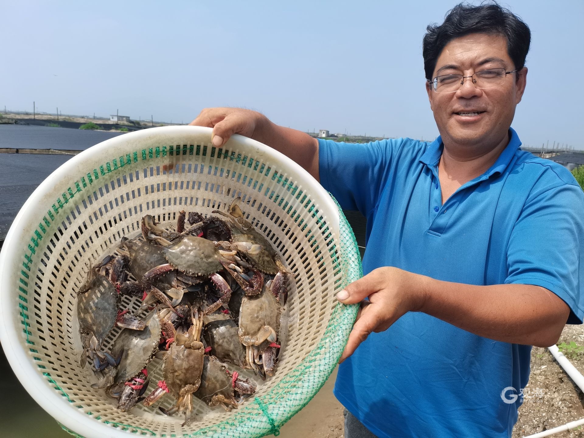游客青岛海边享受赶海乐趣 捕捉螃蟹蛤蜊等小海鲜 - 青岛新闻网