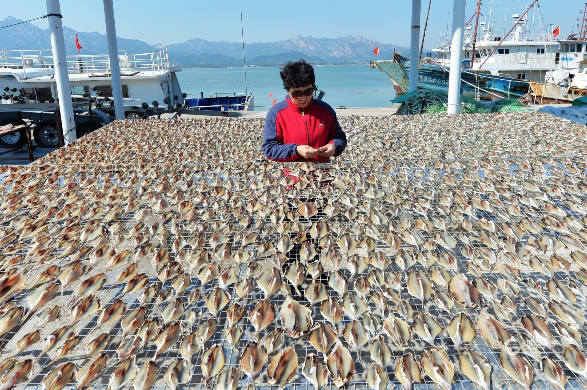 【携程攻略】青岛青山渔村景点,去青山渔村享受农家宴还不错，码头以售卖扇贝为主，如果要购买海鲜的…