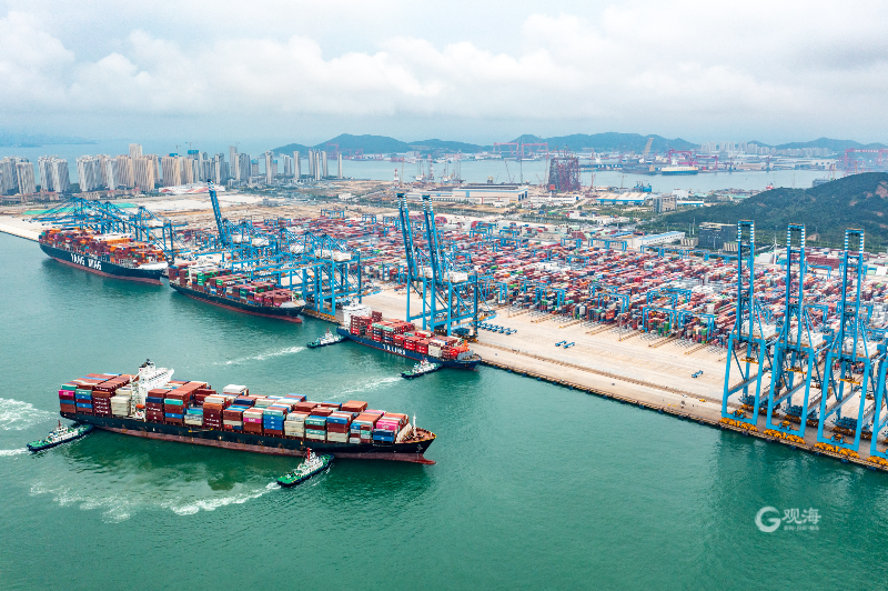 集装箱船舶挤满泊位山东港口青岛港奋战国庆黄金周