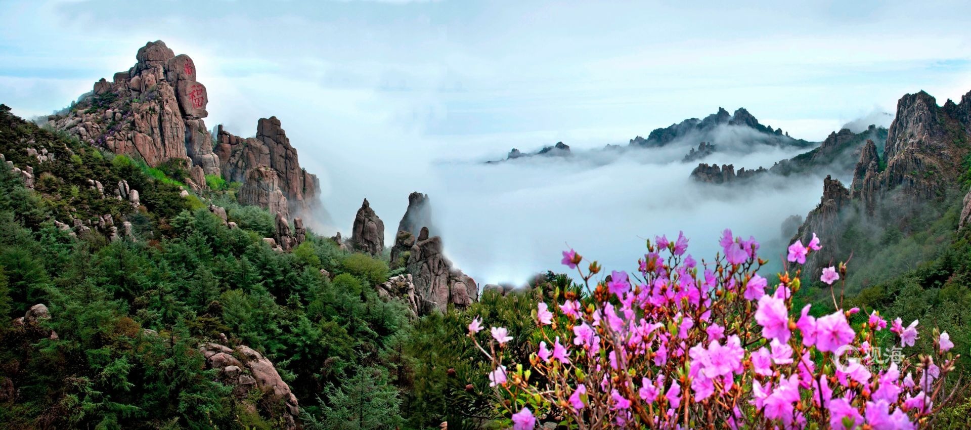 争创世界级旅游景区，崂山风景区有了最新行动方案！-青报网-青岛日报官网
