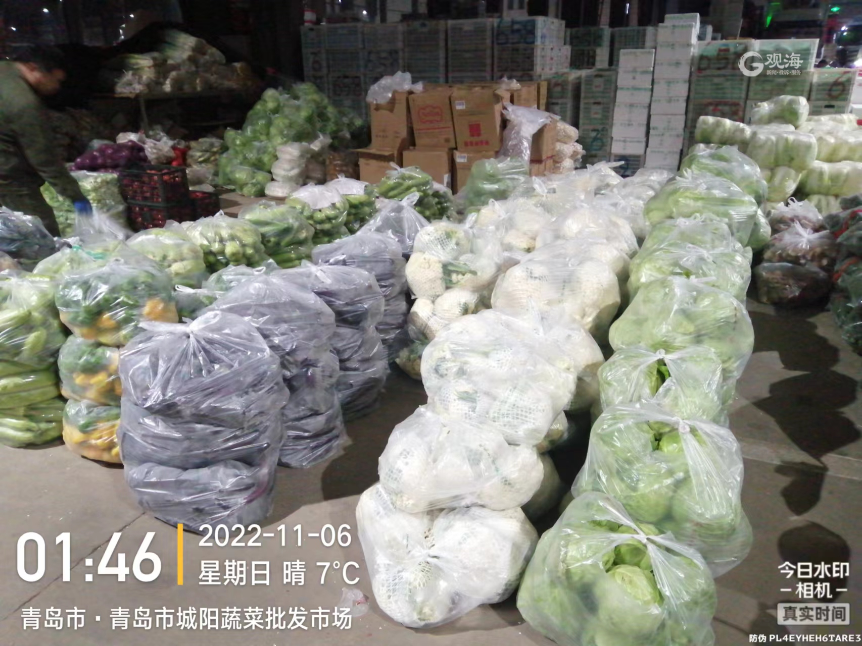 今日上市3742吨蔬菜239吨猪肉青岛菜篮子供应充足价格稳定