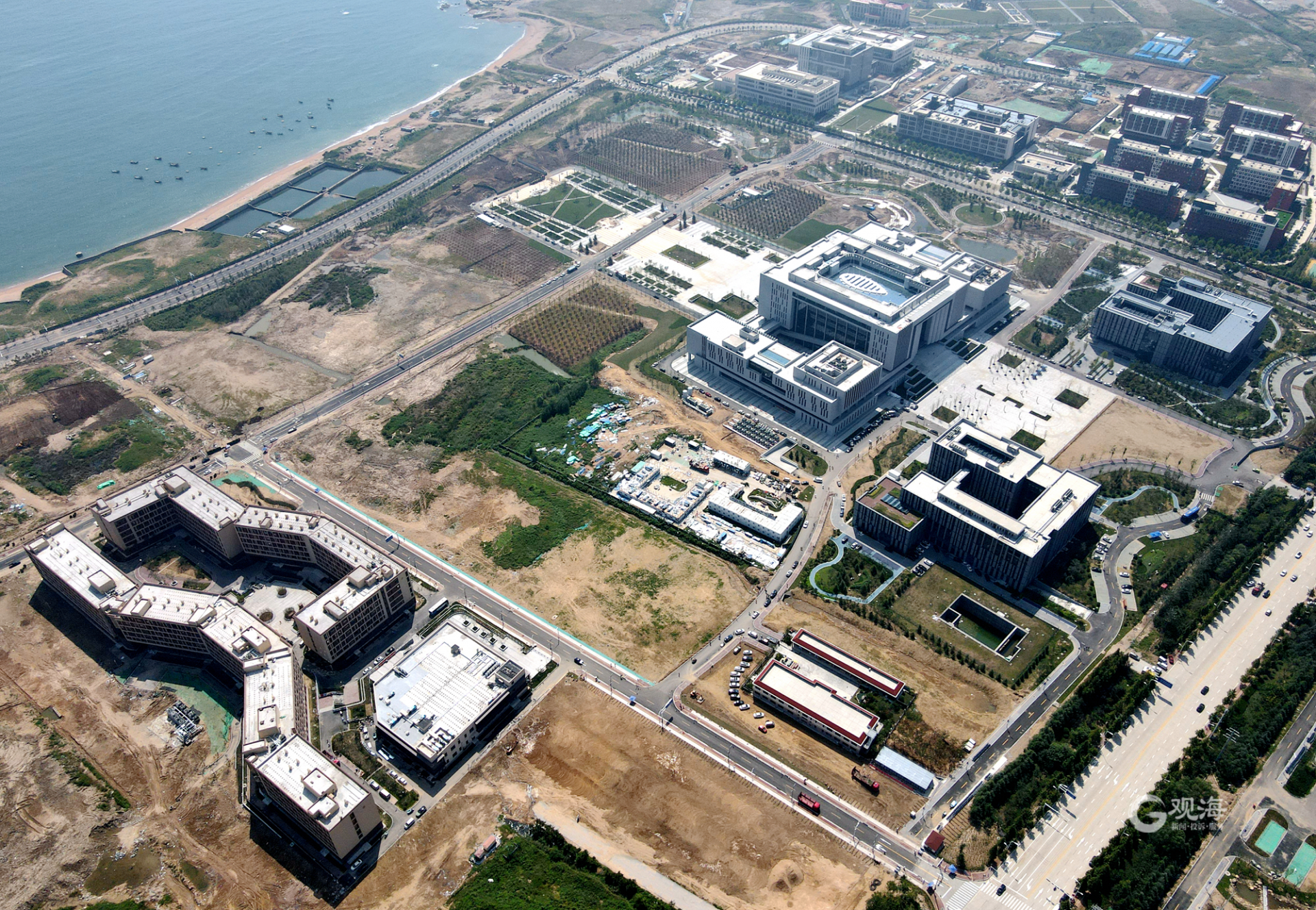 古镇口大学城加速起势:四所"双一流"高校陆续启用,高端科研平台聚集