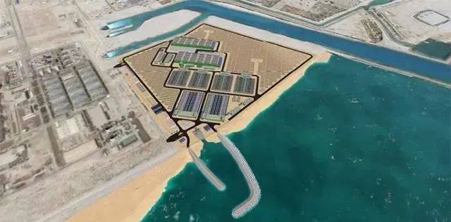 日产水量90万吨！“青岛建”全球最大海水淡化项目并网运行-青报网-青岛日报官网