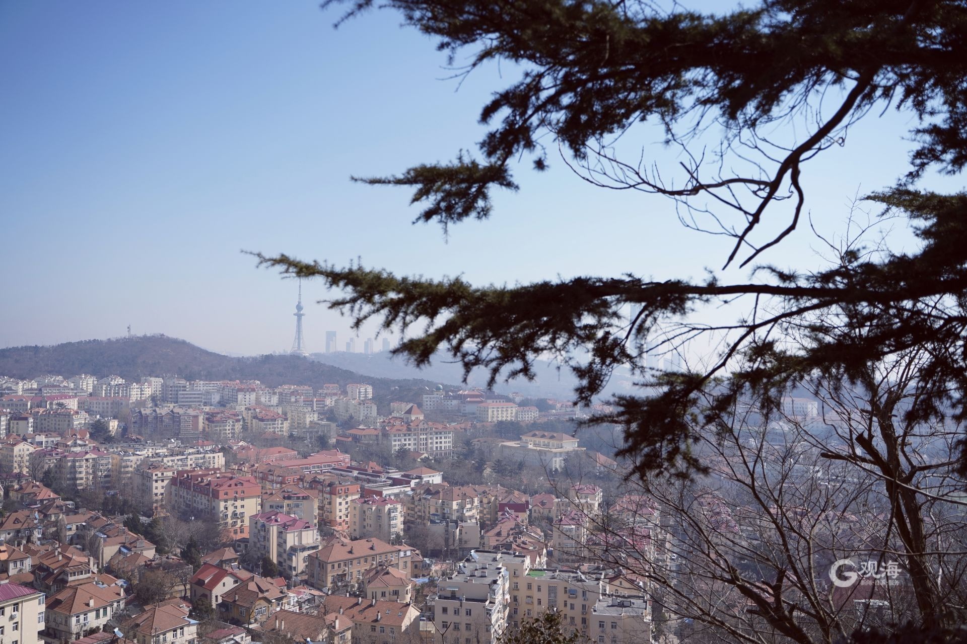 登山望海!青岛山海湾风光的正确打开方式,信号山你不可错过