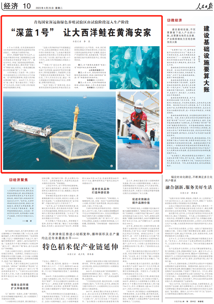 央媒看青岛|人民日报聚焦青岛西海岸新区:三文鱼在黄海安了家!-青报网-青岛日报官网