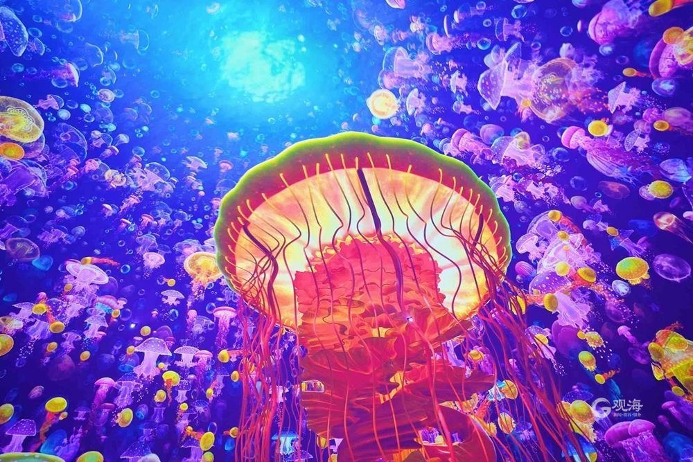 首个360球幕影院在青岛极地海洋公园落成快去打卡