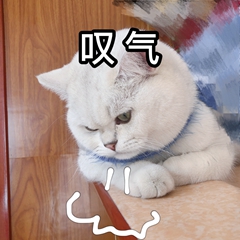 观海杂话铺402什么导师在太空也要催被论文支配的恐惧你懂吗