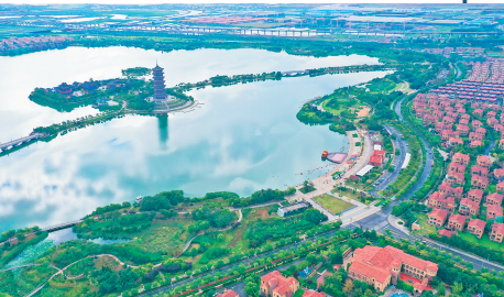 青岛:坚持生态优先,打造美丽中国建设样板区 - 青岛新闻网
