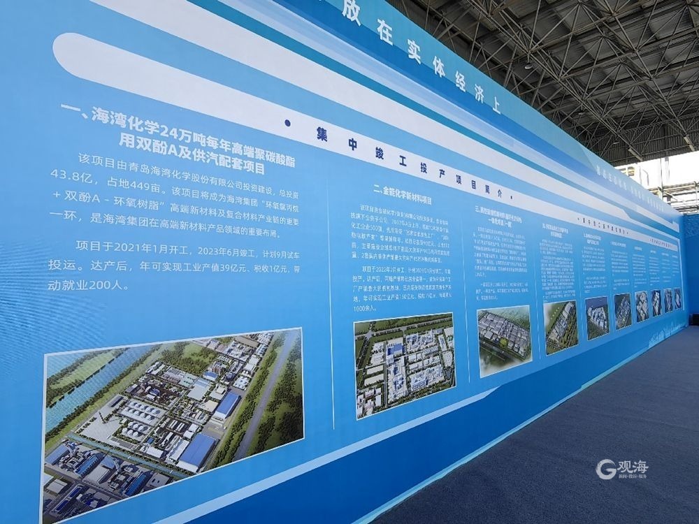 青岛市绿色低碳新材料产业园（董家口园区）揭牌，首批10个重点项目竣工投产-青报网-青岛日报官网