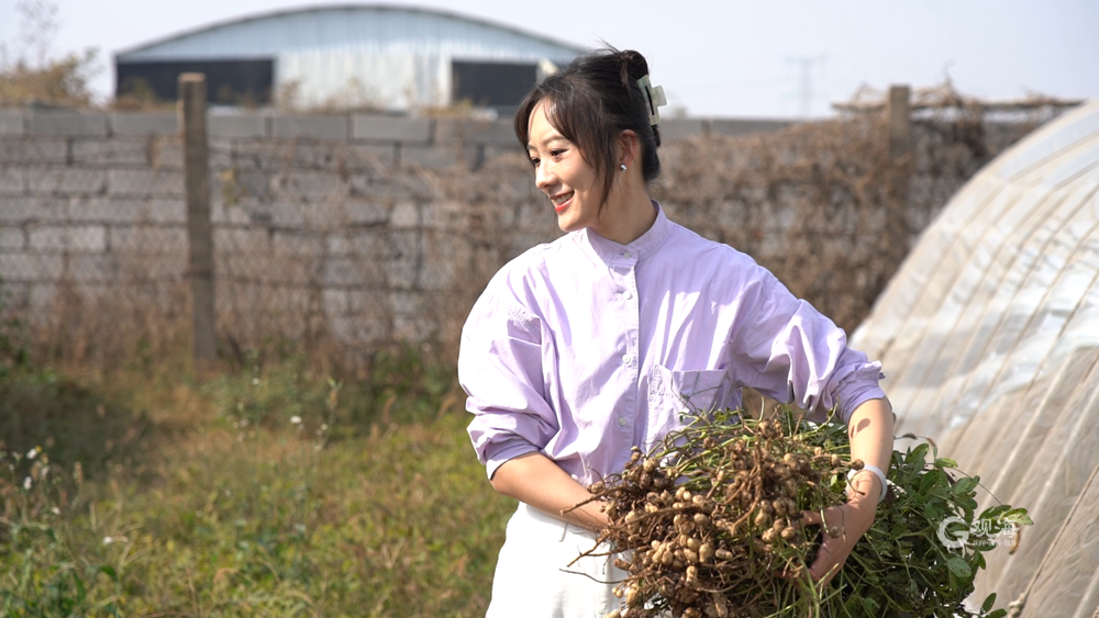 兴农记2023⑩农品插上云翅膀新农人实现生态梦胶州正有好事花生