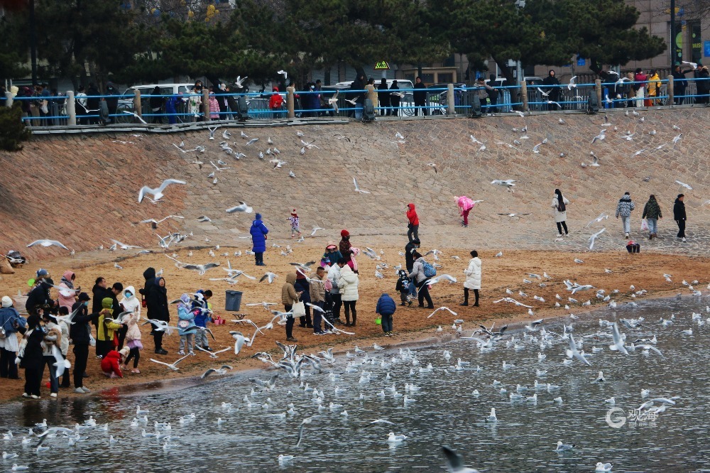 “速冻”模式再度开启，明天最低气温 9℃！青岛下周以晴间多云天气为主 青报网 青岛日报官网