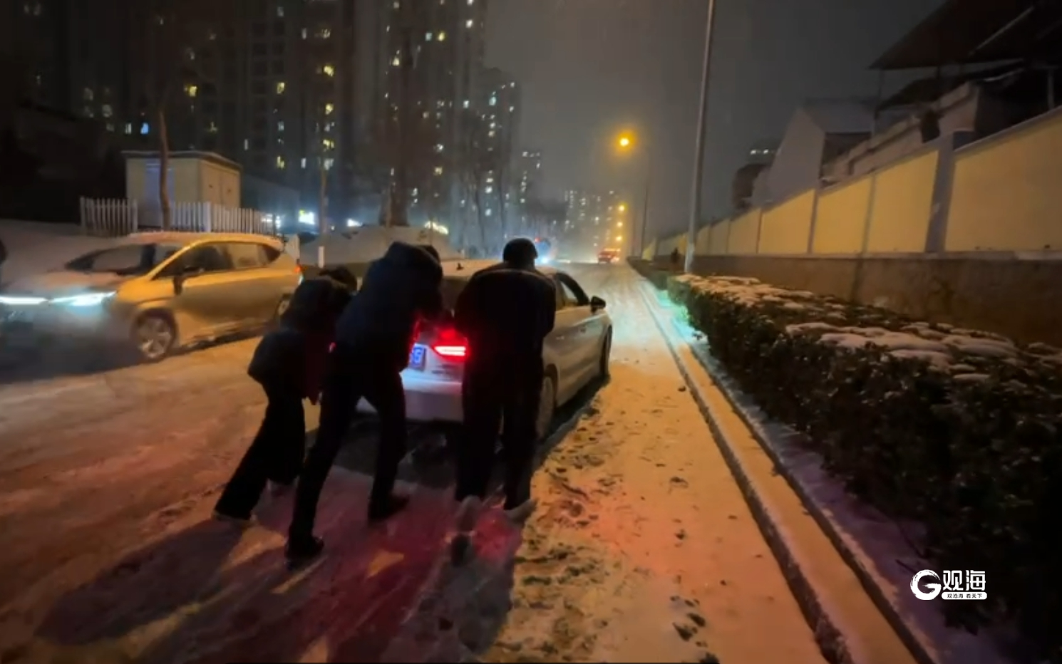 雨夜街头的温柔，一场关于爱与坚韧的梦境解析