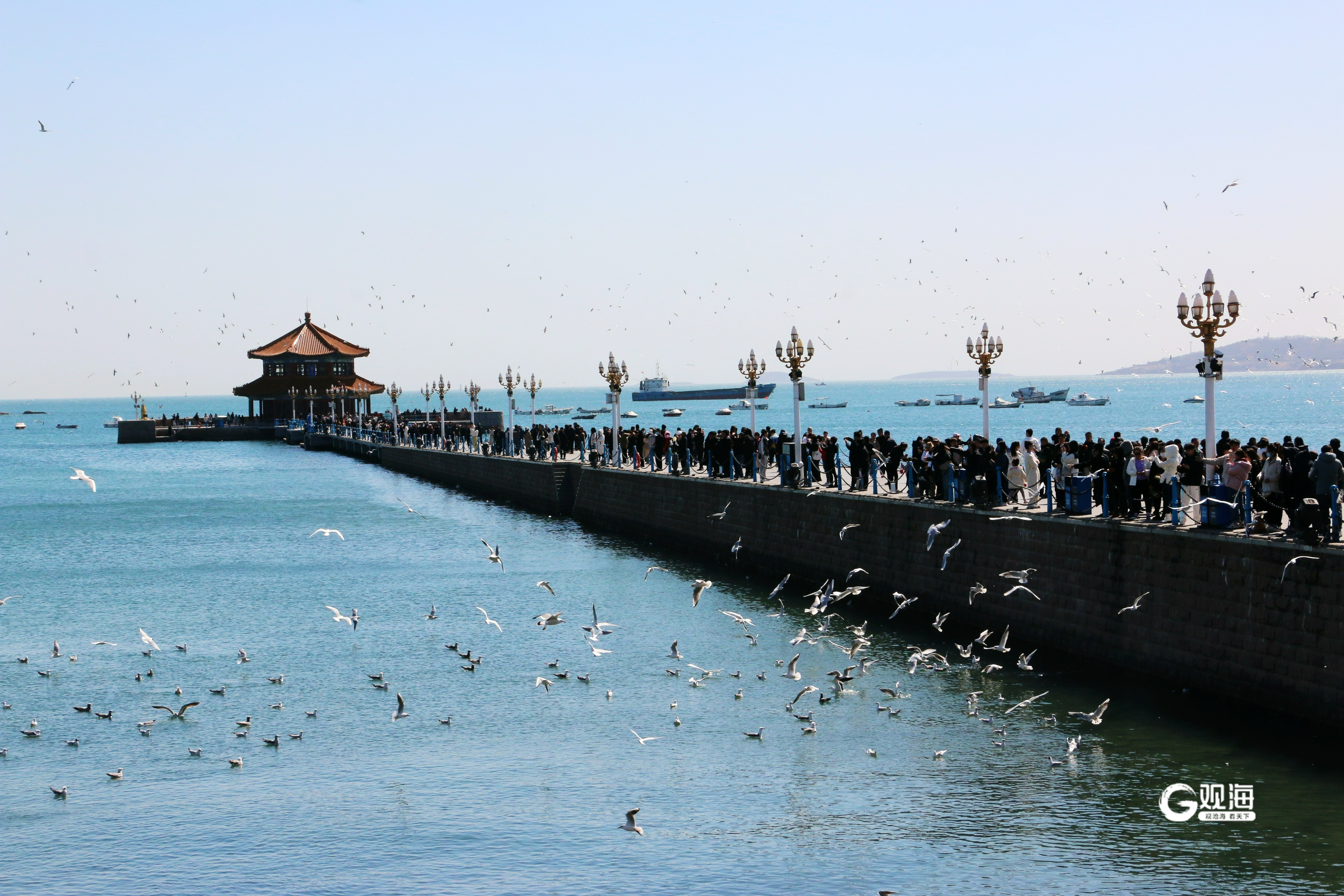 青岛不花钱的旅游景点图片