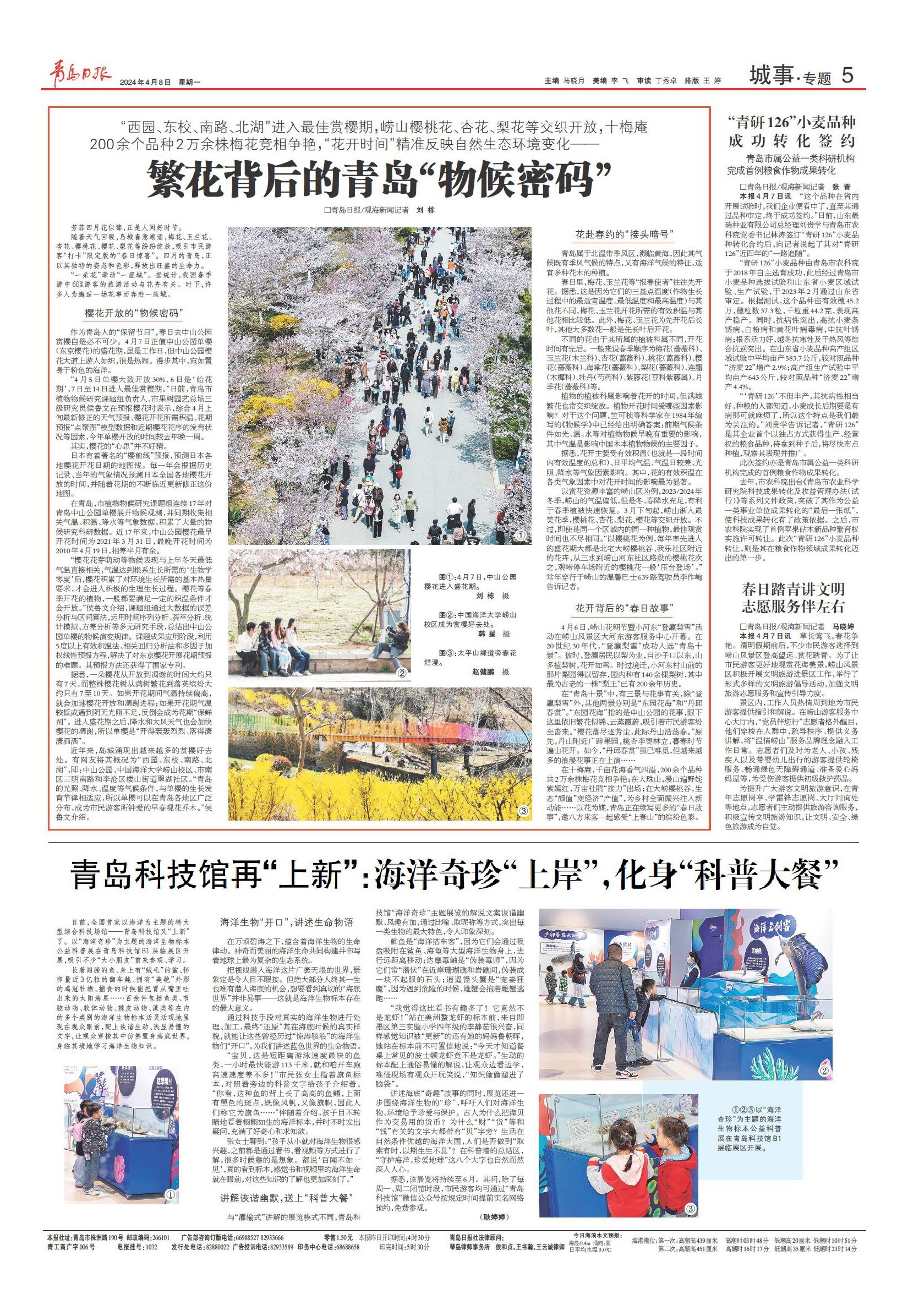 花开时间精准反映自然生态环境变化来看繁花背后的青岛物候密码