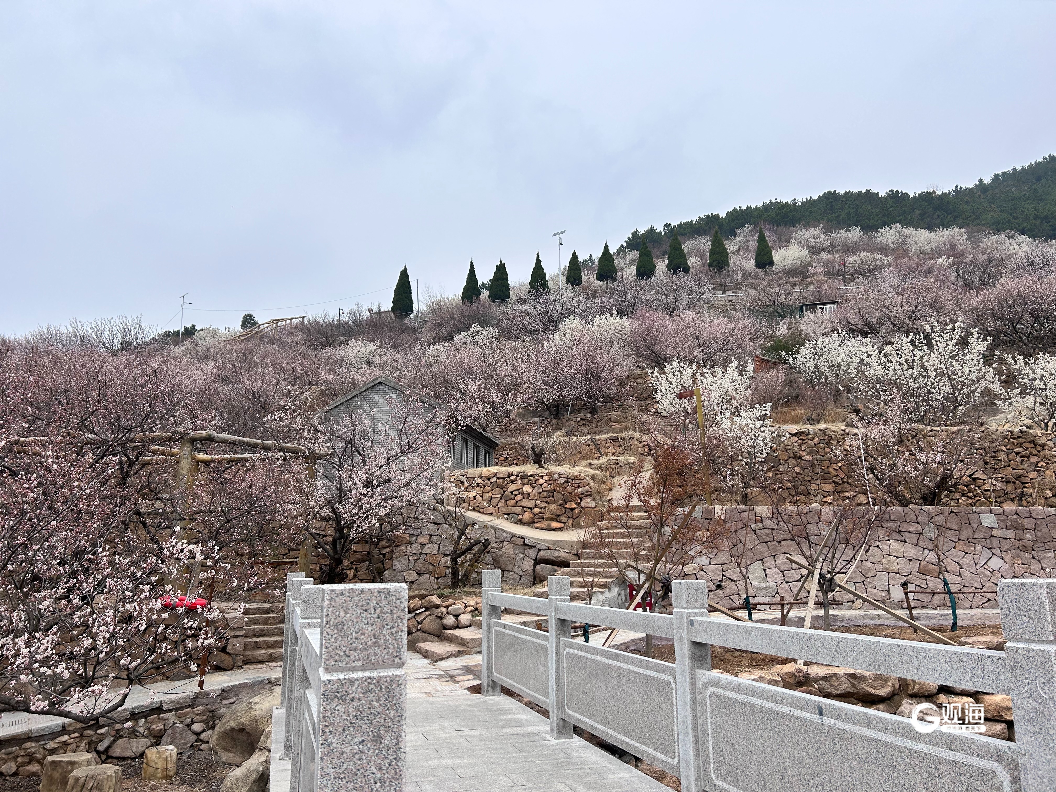 文旅图景展新质,一"镜"万象看崂山