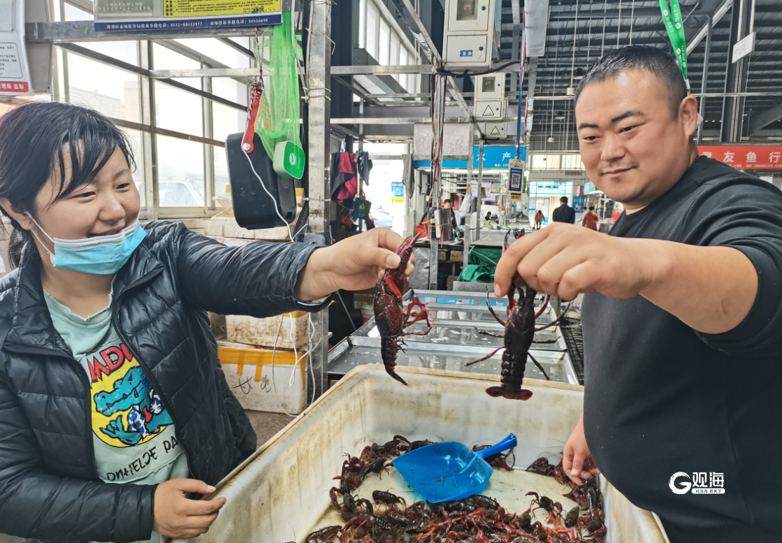 进入5月后,城阳,即墨的小龙虾批发市场上,每天凌晨都会上演这样的场面
