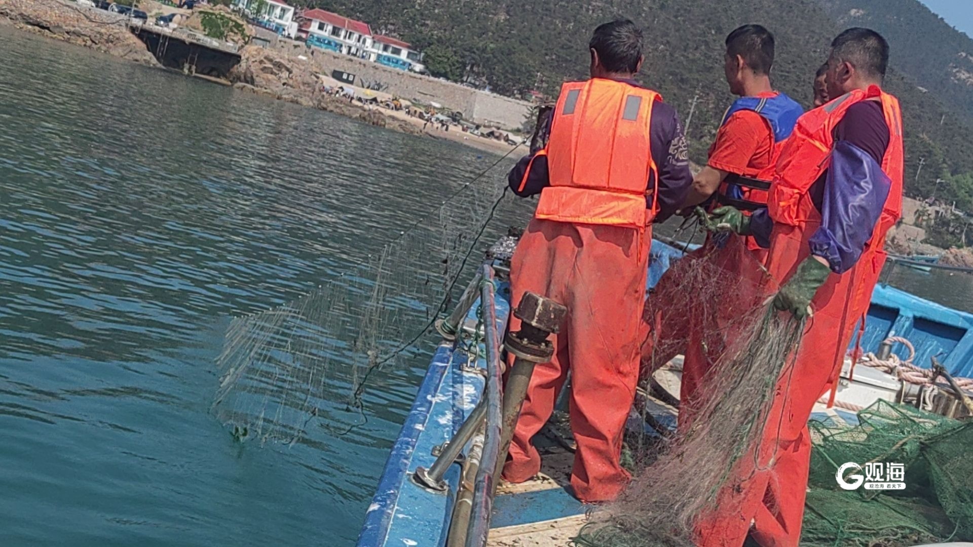青岛伏季休渔首周,查获违规作业船舶24艘