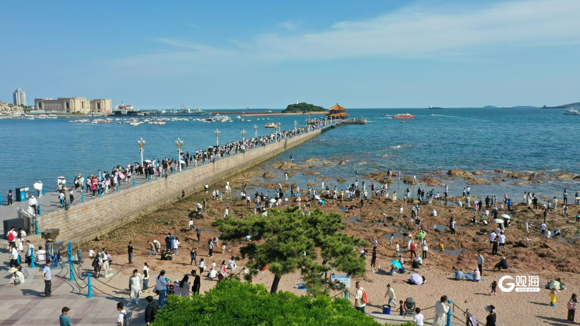 藍(lán)綠交融！青島夏日美景請(qǐng)查收