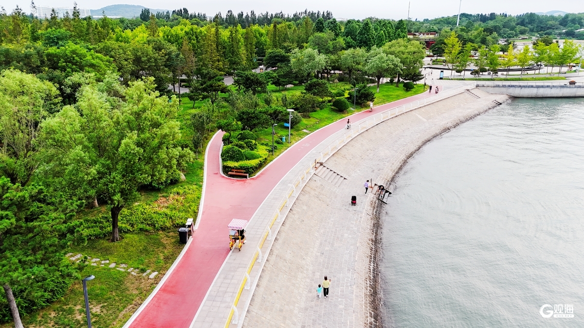 青岛王圈湿地公园图片