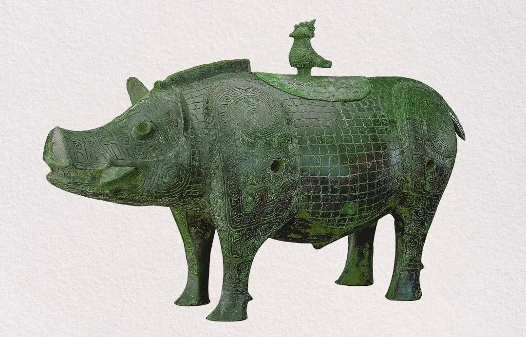 Boar on the Loose: Qingdao's Wild Warning - What You Need to Know Boar on the Loose: Qingdao's Wild Warning - What You Need to Know - News Directory 3