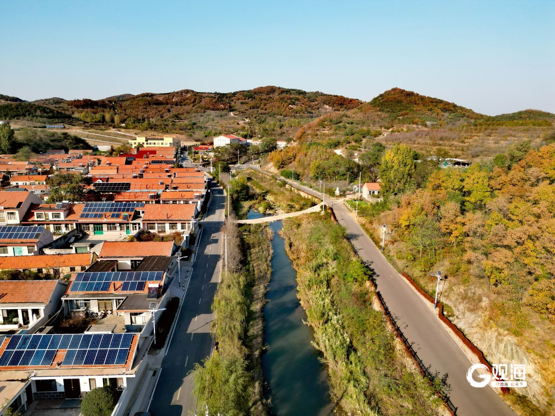 青岛:深秋的杨家山里