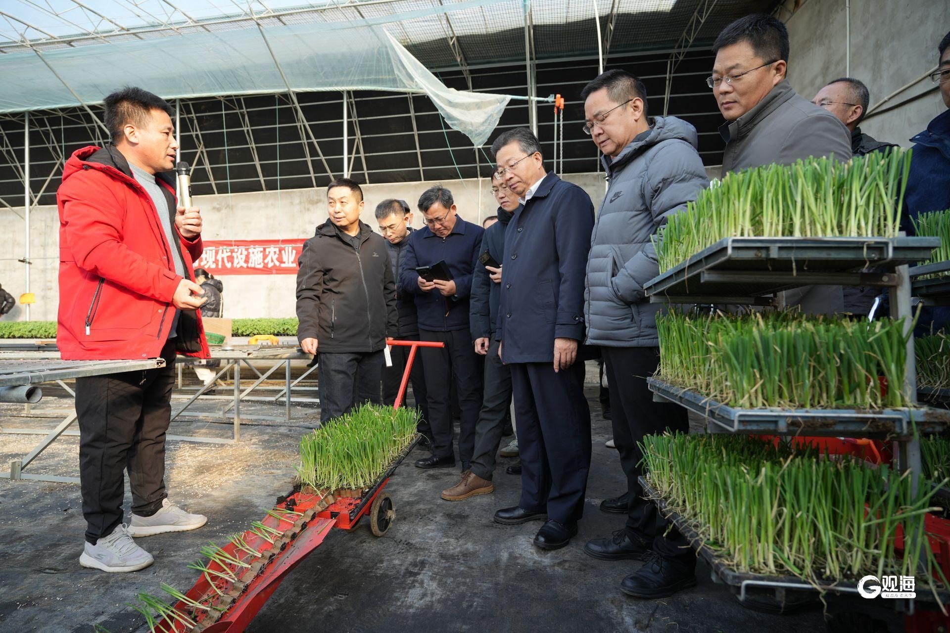 青开云体育岛市设施种植面积达526万亩共20万人从事设施农业工作(图6)