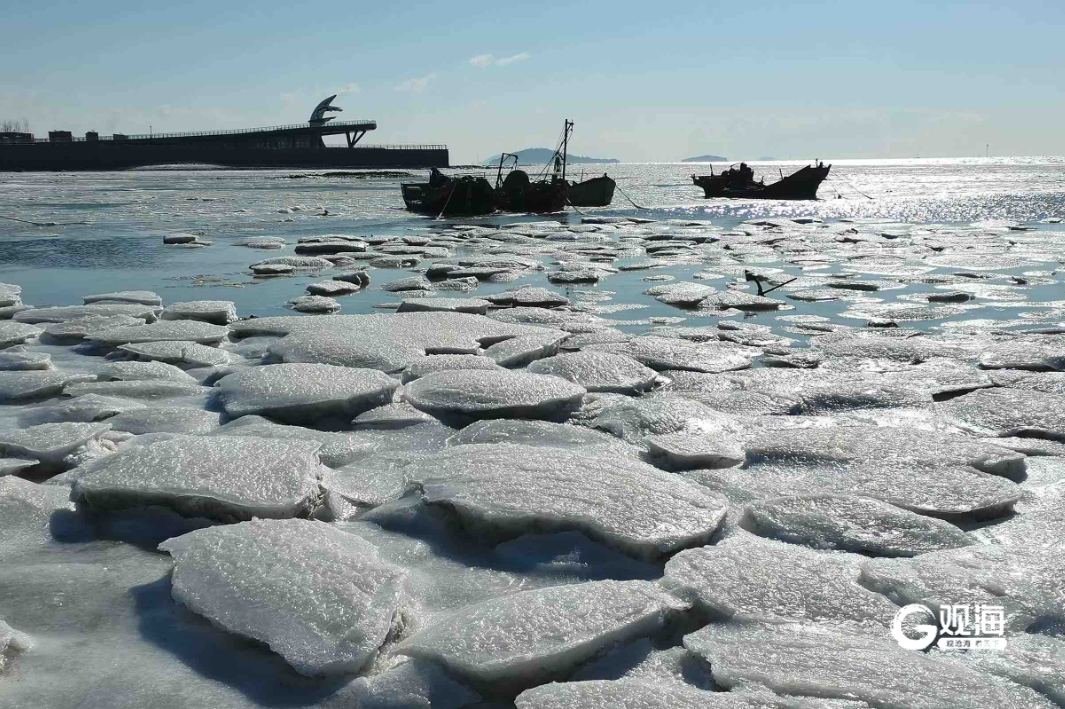 青岛即墨鳌山湾丁字湾海域出现绵延数公里海冰景象