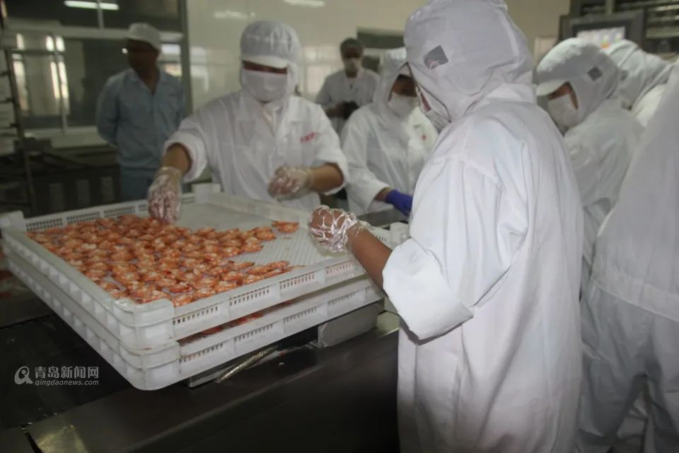 【青岛老字号】海滨食品:童年的味道记忆犹新