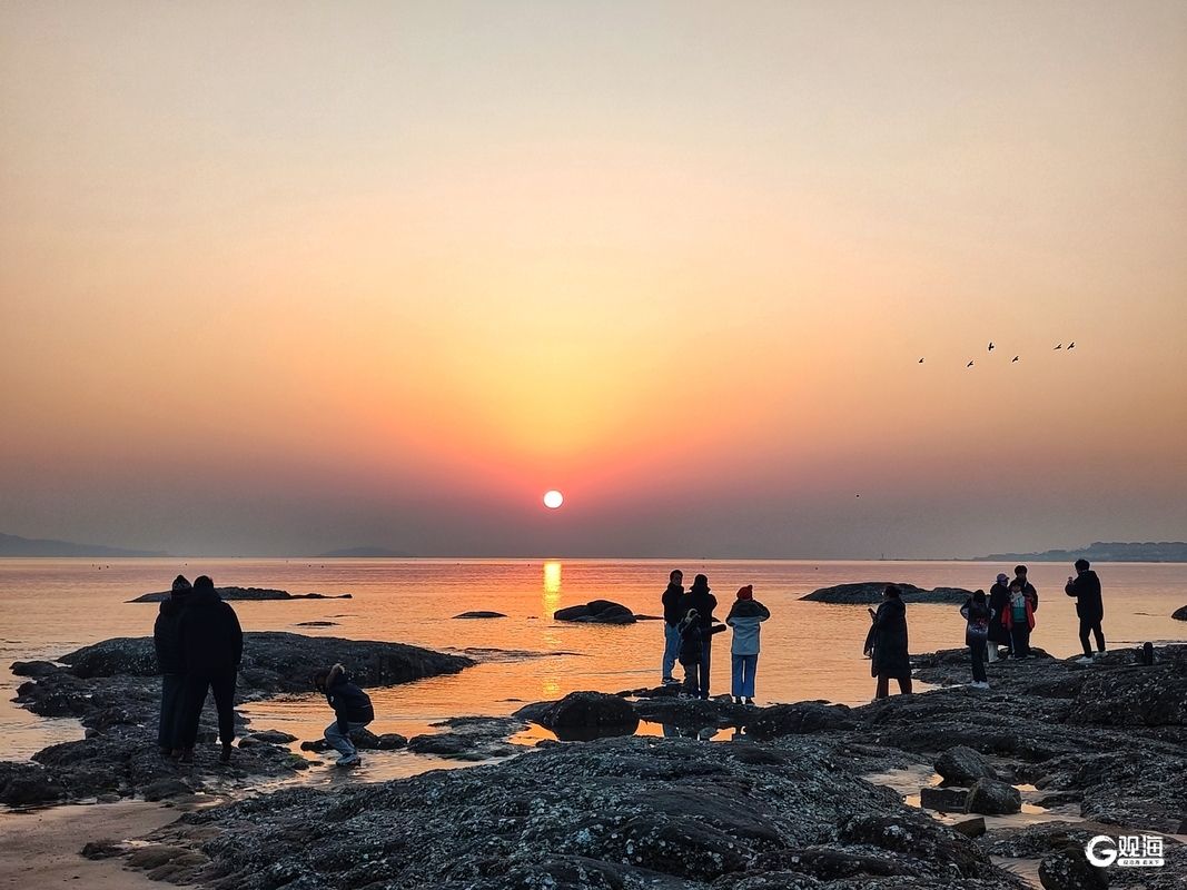 观海新闻元旦献词| 新的黎明已经降临-观海新闻