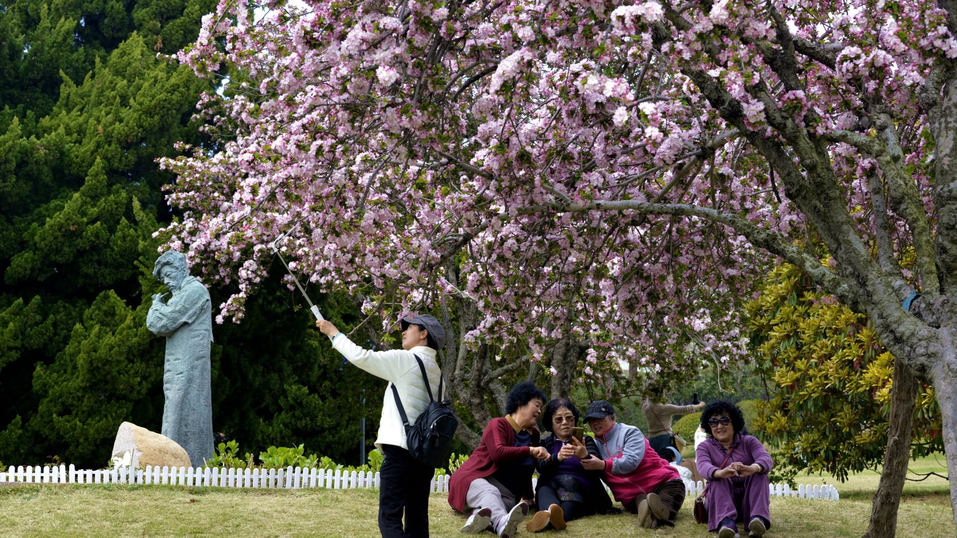 春日私藏！百花苑里百花开