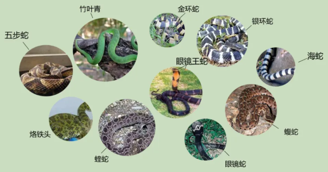 正在上传...