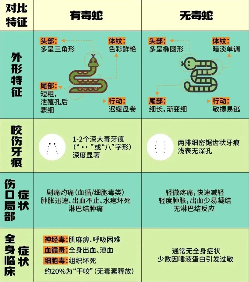 正在上传...