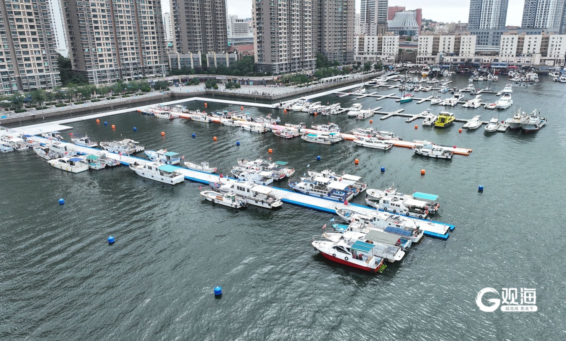 每年涌来50万人次，青岛“钓”起文旅新蓝海