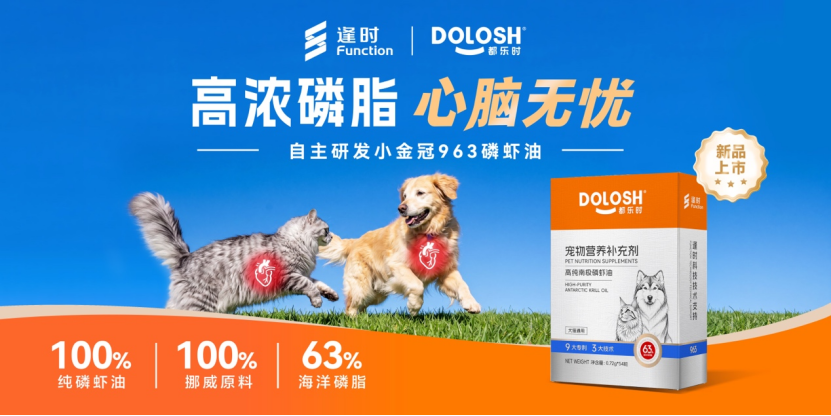 正在上传...