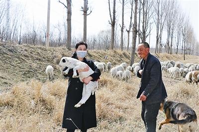 平度农民于克山在精准扶贫帮助下，仅三年由贫困户蜕变为身家十万“羊司令”